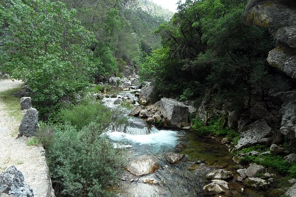 El río Borosa.
